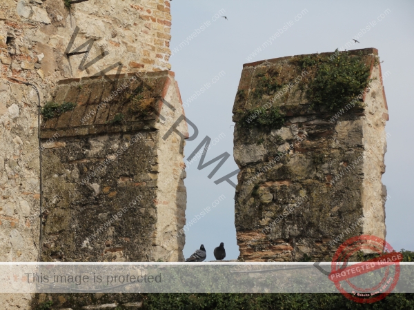 LB Duos Tiere 074