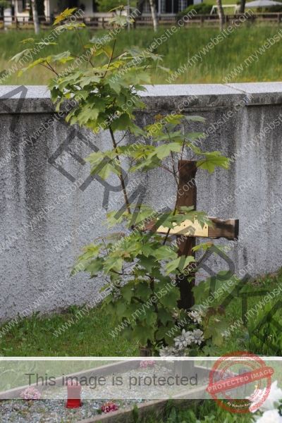 Ledrosee, Kreuze -08