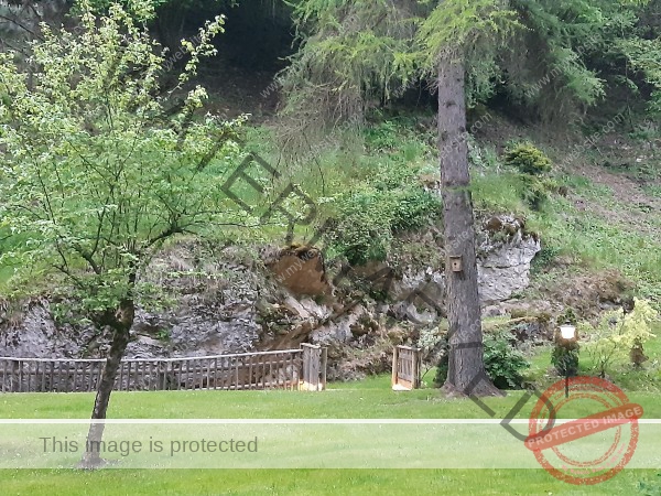 LB Duos, versch. aus Urlauben 211