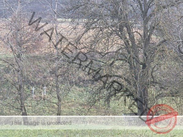 LB Duos verschiedenes 091