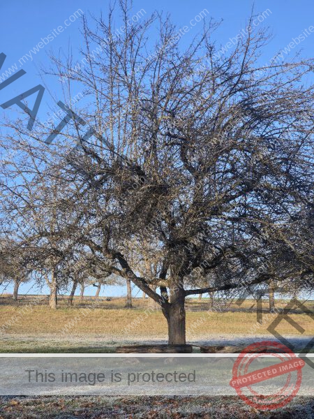 LB Duos verschiedenes 096