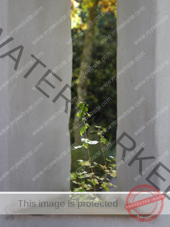 dud, M-K Pflanzen 054