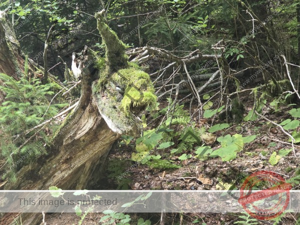 bin ich richtig auf dem Bild?