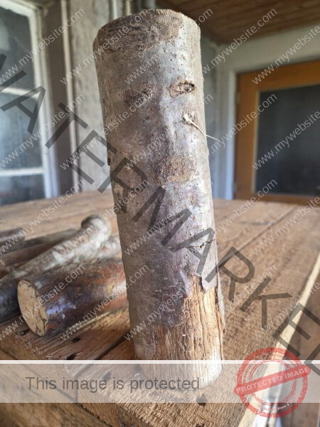 nimm mir bitte mal das Ästchen weg