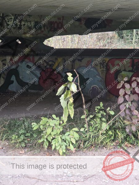 mein Puppenspieler hat mich vergessen