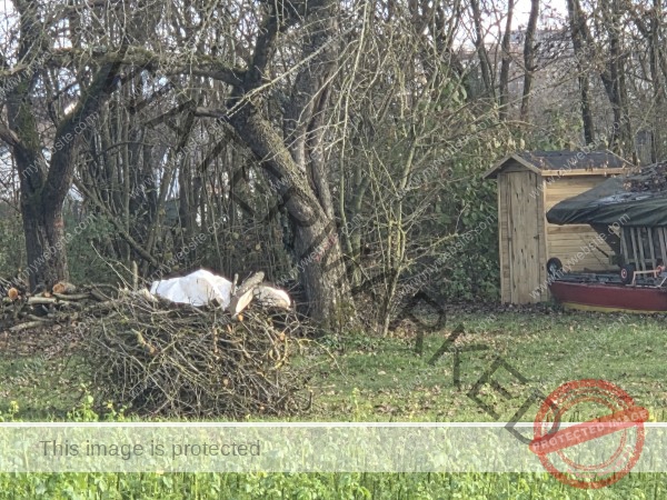 ist ein bisschen hart hier