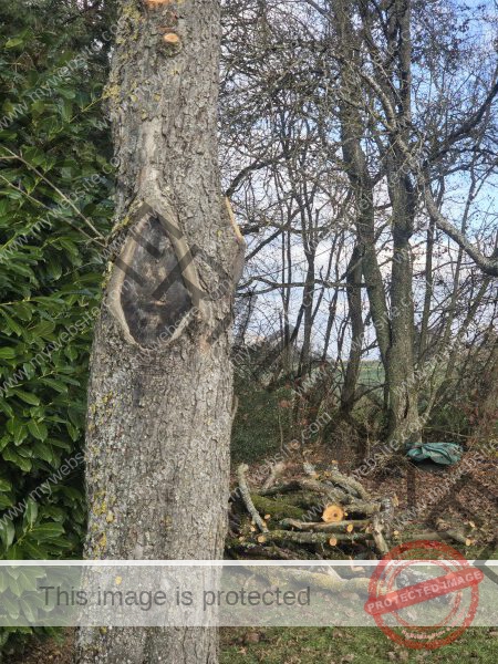 man sollte freundlich durchs Leben gehen