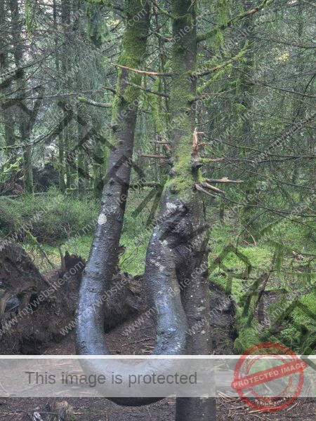 cool, dieses neue Musikinstrument