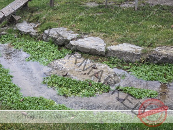 bin frisch gewaschen