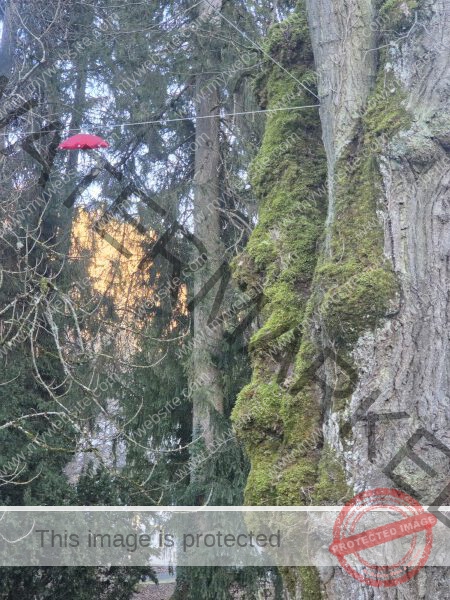 der Einäugige sieht alles