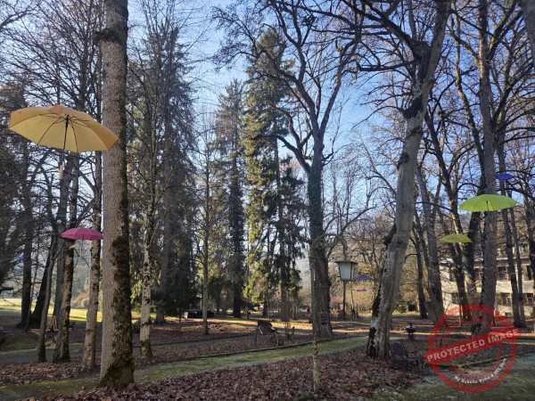 Eichhörnchenweg 29.12.2025 - 005