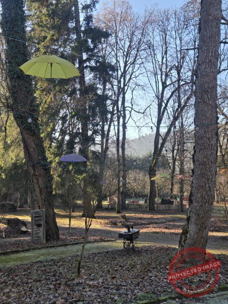 Eichhörnchenweg 29.12.2025 - 007