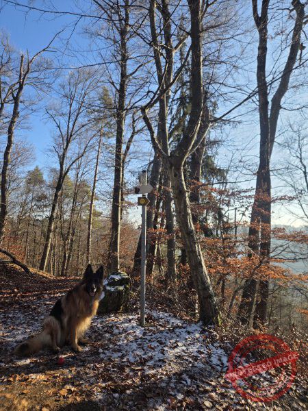 Eichhörnchenweg 29.12.2025 - 014