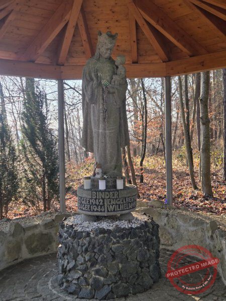 Eichhörnchenweg 29.12.2025 - 021