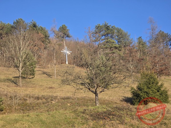 Eichhörnchenweg 29.12.2025 - 025