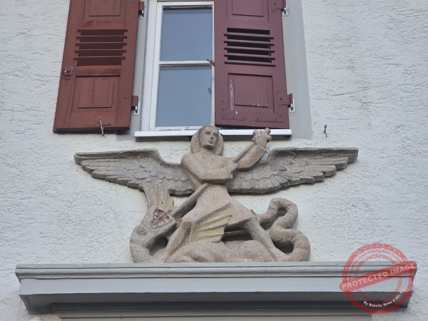 Eichhörnchenweg 29.12.2025 - 026