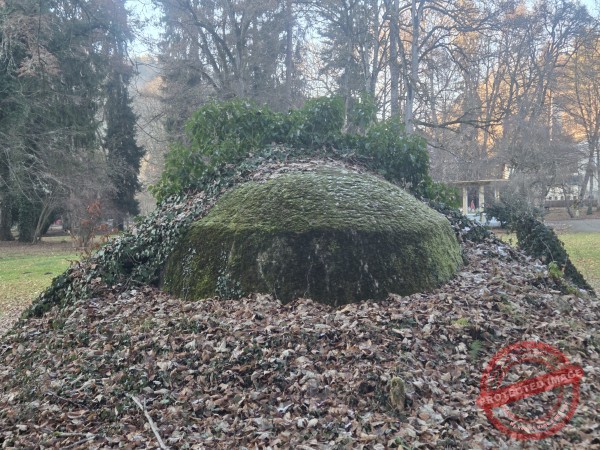 Eichhörnchenweg 29.12.2025 - 033