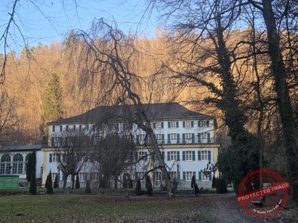 Eichhörnchenweg 29.12.2025 - 034