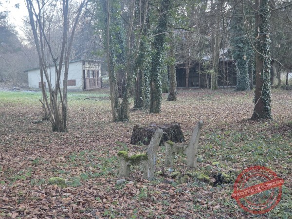 Eichhörnchenweg 29.12.2025 - 035