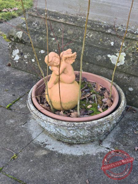 Eichhörnchenweg 29.12.2025 - 042