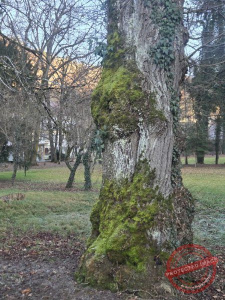 Eichhörnchenweg 29.12.2025 - 047