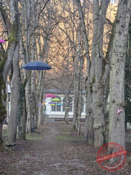 Eichhörnchenweg 29.12.2025 - 050