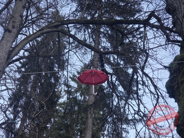 Eichhörnchenweg 29.12.2025 - 052