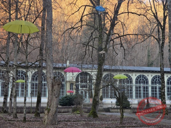 Eichhörnchenweg 29.12.2025 - 054