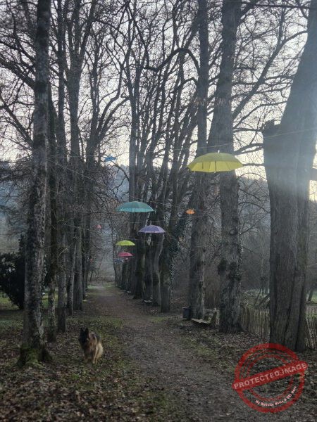 Eichhörnchenweg 29.12.2025 - 056