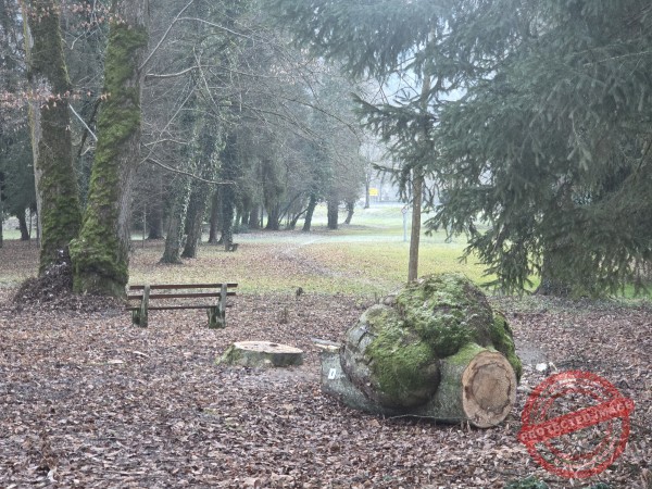 Eichhörnchenweg 29.12.2025 - 059