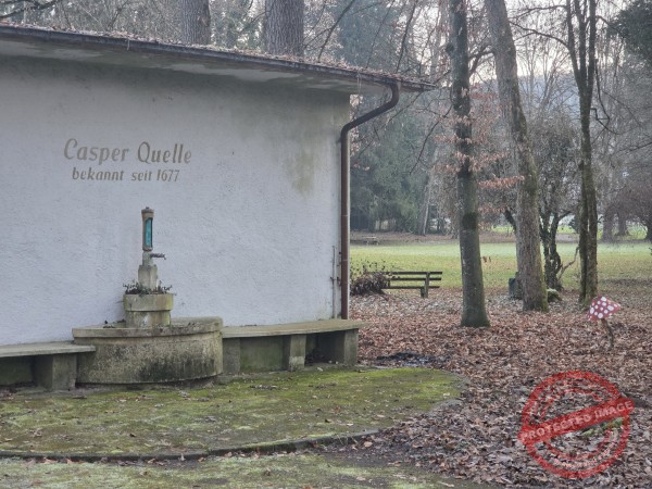 Eichhörnchenweg 29.12.2025 - 060