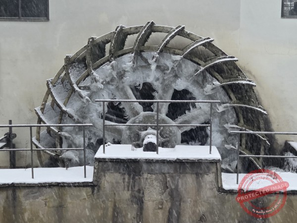 Gassi am Neckar, 06.01.2026 - 02