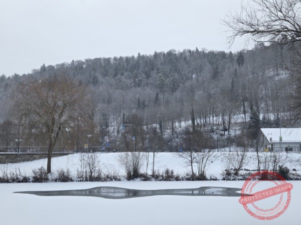 Gassi am Neckar, 06.01.2026 - 05