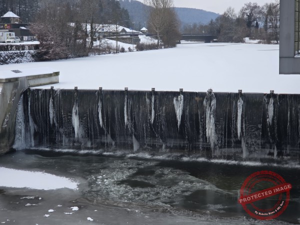 Gassi am Neckar, 06.01.2026 - 07