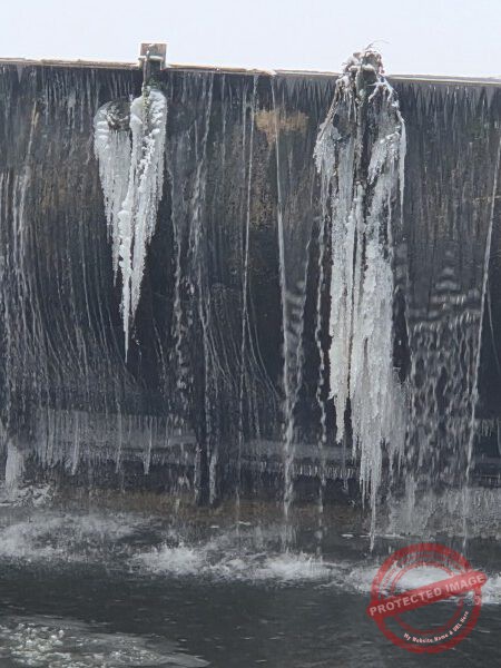 Gassi am Neckar, 06.01.2026 - 09