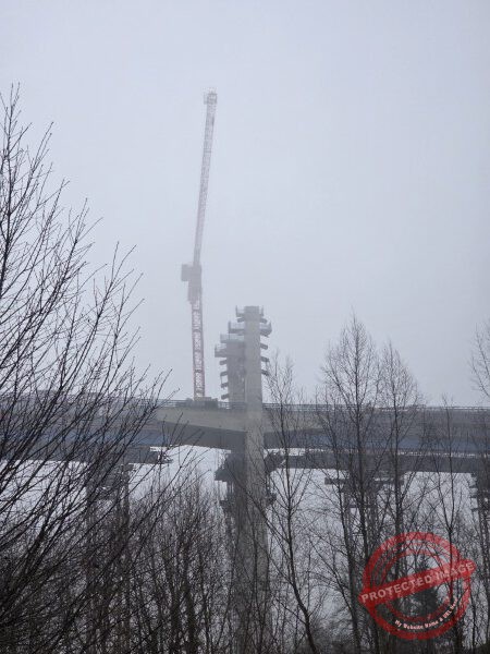 Gassi am Neckar, 25.01.2026 - 01