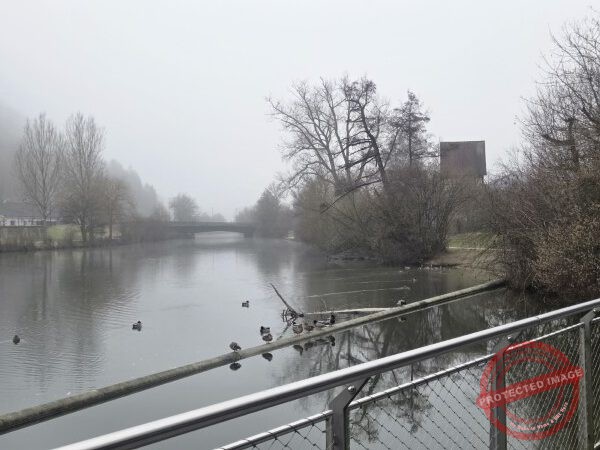 Gassi am Neckar, 25.01.2026 - 03