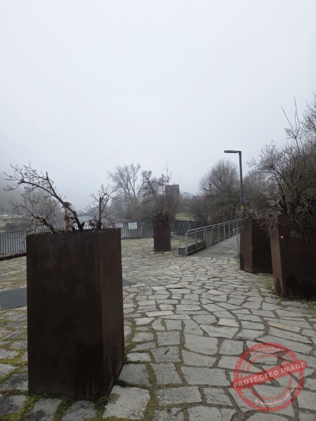 Gassi am Neckar, 25.01.2026 - 04