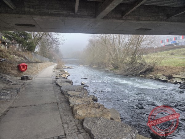 Gassi am Neckar, 25.01.2026 - 05