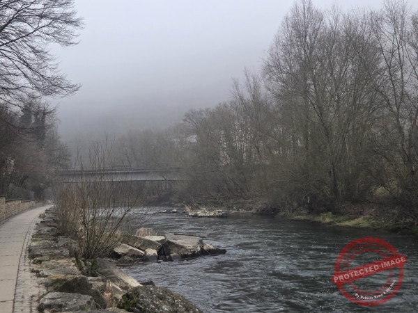 Gassi am Neckar, 25.01.2026 - 06