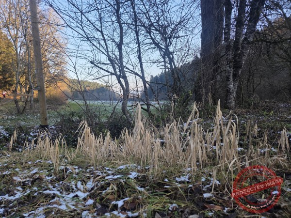 Kloster Kirchberg 2025 - 005