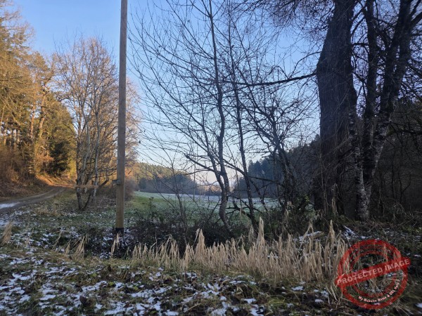 Kloster Kirchberg 2025 - 006