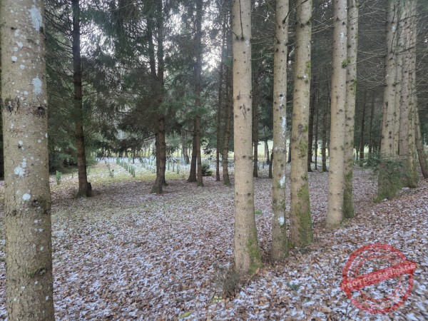 Kloster Kirchberg 2025 - 009