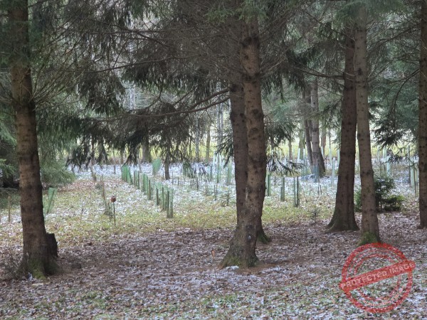 Kloster Kirchberg 2025 - 010