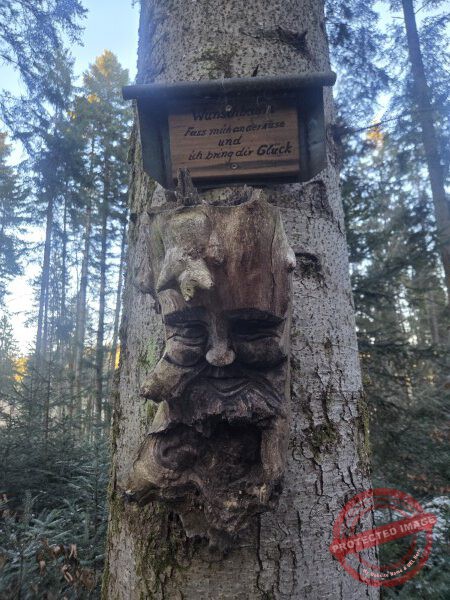 Kloster Kirchberg 2025 - 011