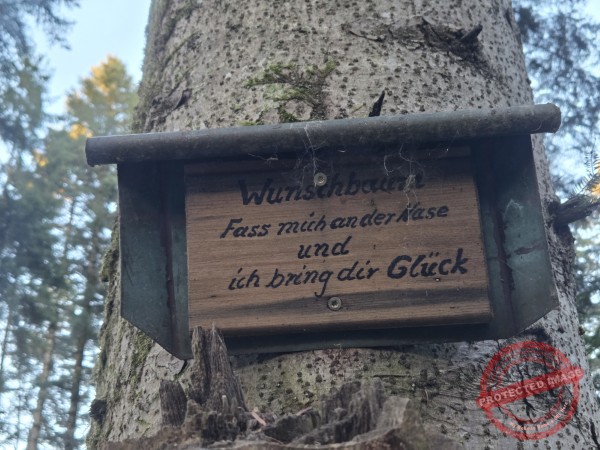 Kloster Kirchberg 2025 - 012