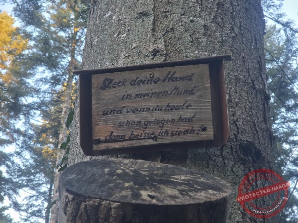 Kloster Kirchberg 2025 - 014