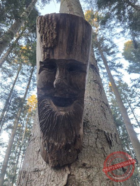 Kloster Kirchberg 2025 - 016