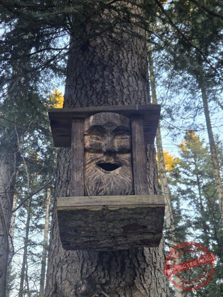 Kloster Kirchberg 2025 - 017