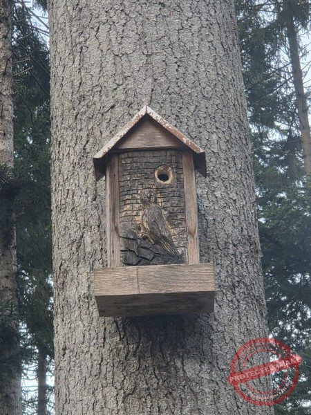 Kloster Kirchberg 2025 - 019